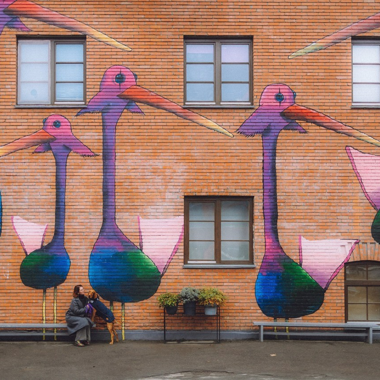 Отзывы о работе фотографа-анималиста или зоофотографа, Москва