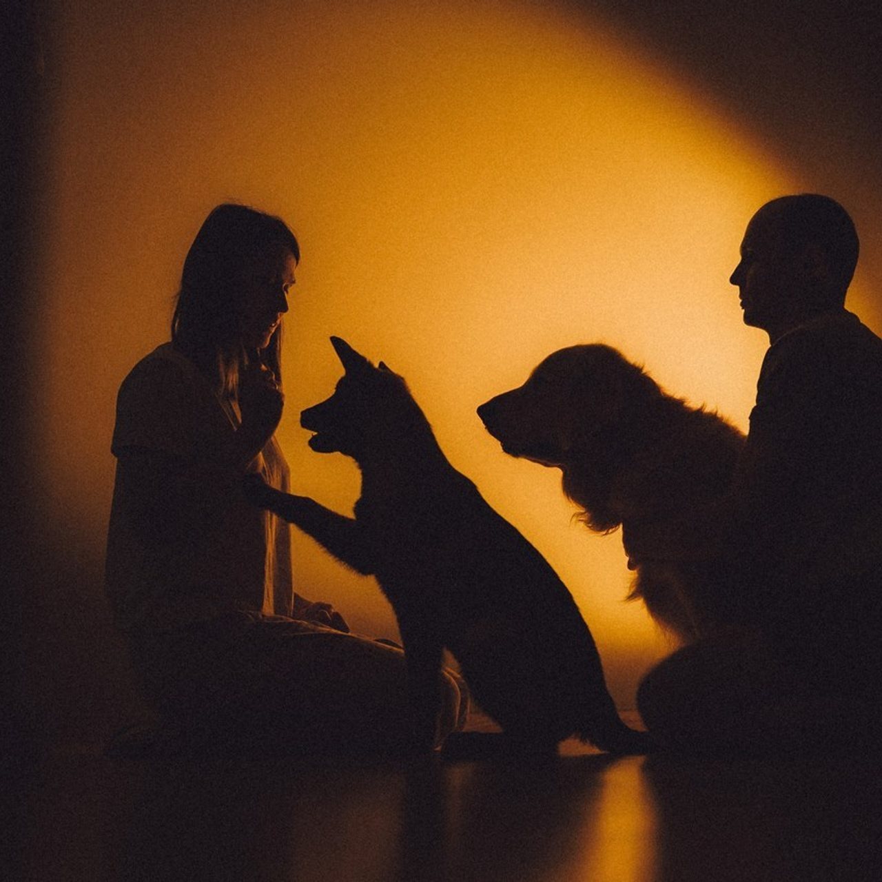 Отзывы о работе фотографа-анималиста или зоофотографа, Москва