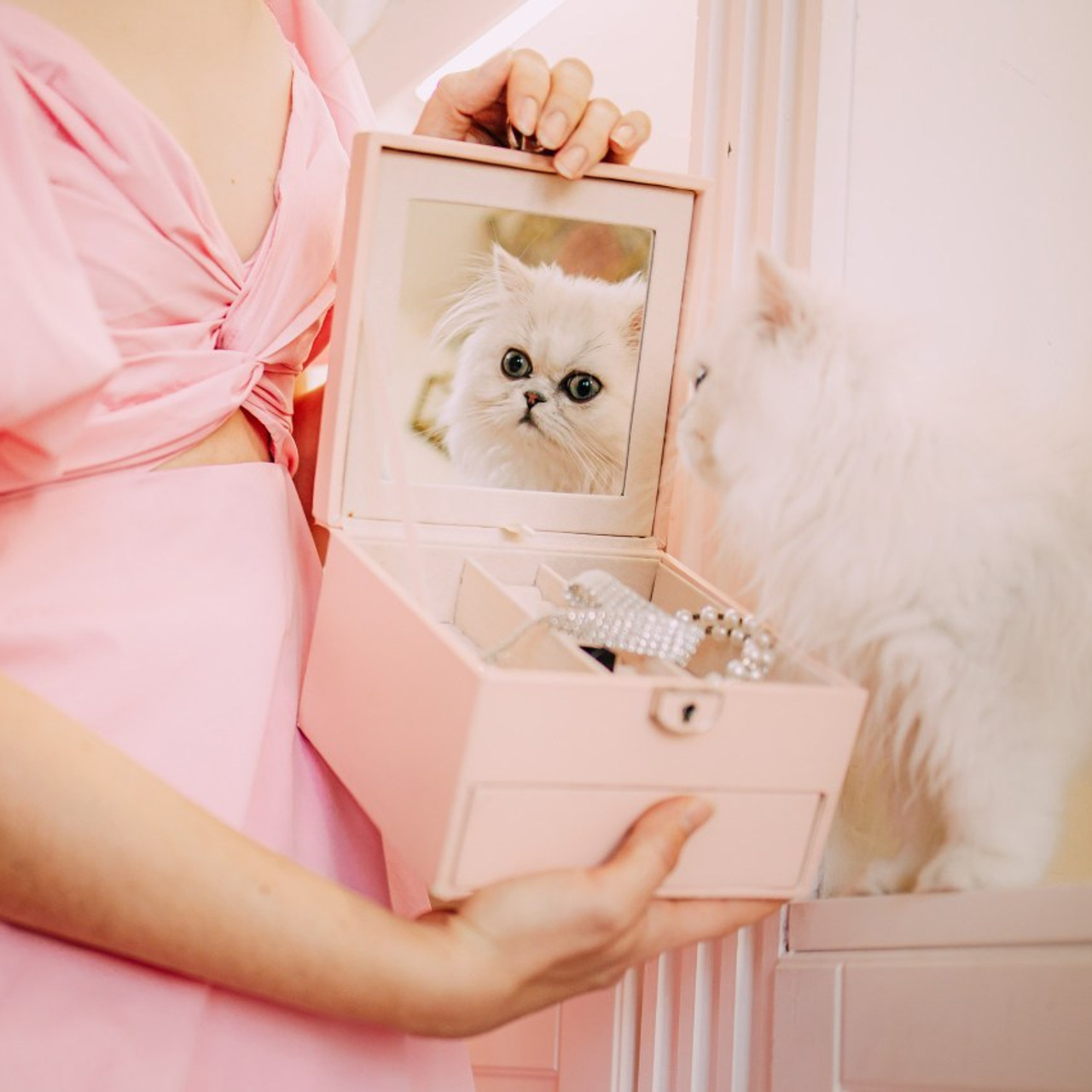 Отзывы о работе фотографа-анималиста или зоофотографа, Москва