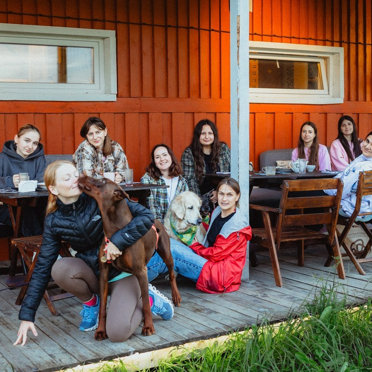 Отзывы о работе фотографа-анималиста или зоофотографа, Москва