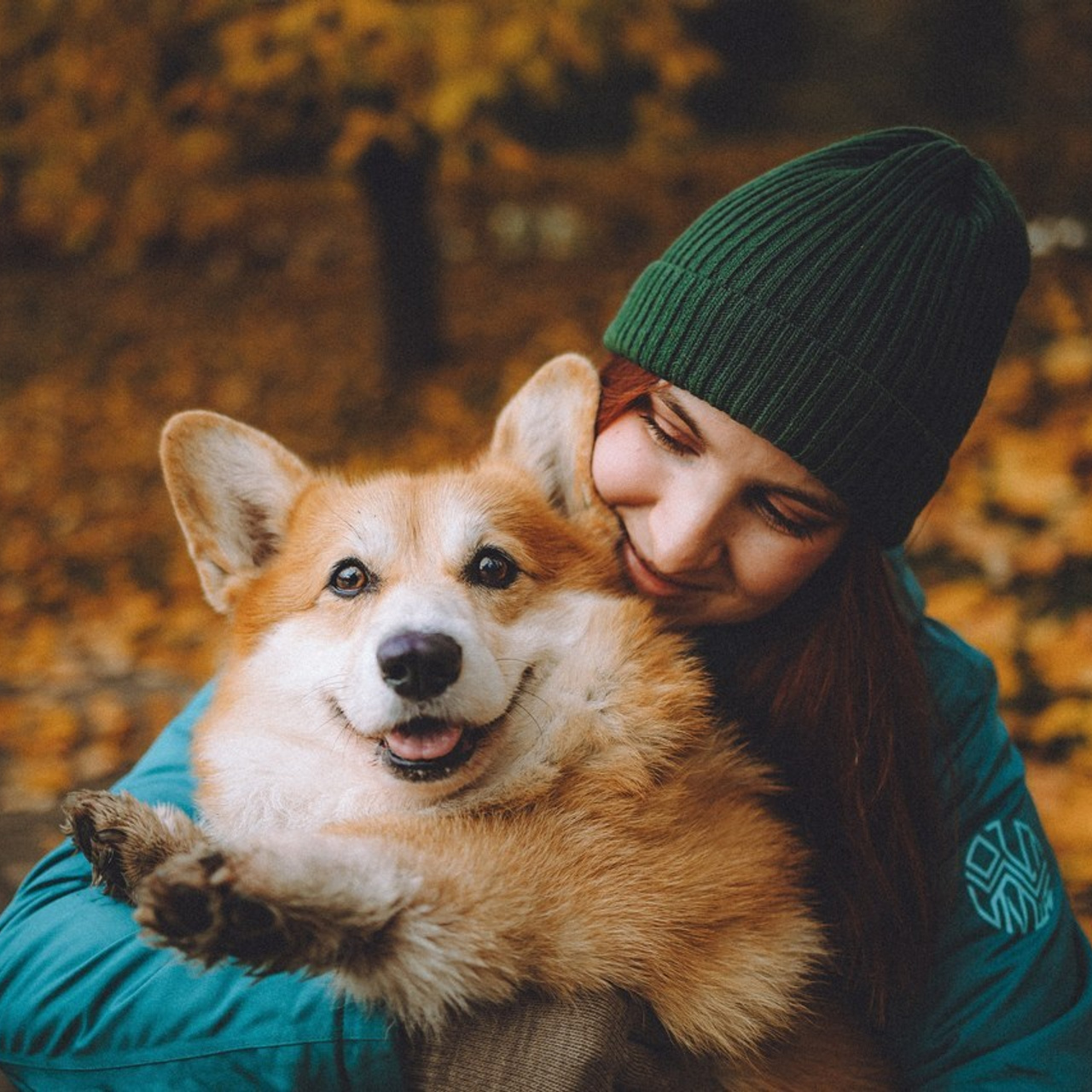 Отзывы о работе фотографа-анималиста или зоофотографа, Москва