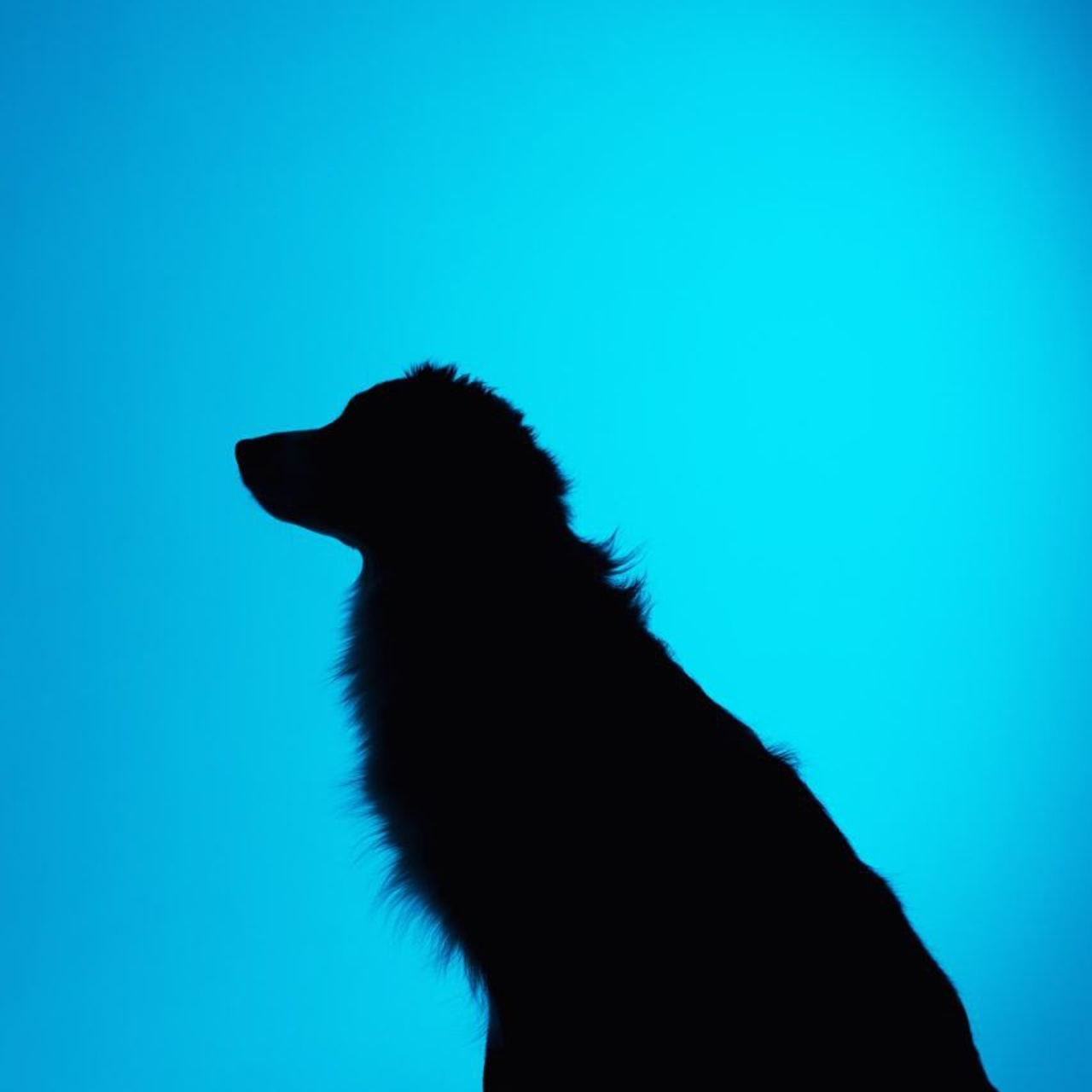 Воркшоп по импульсному свету