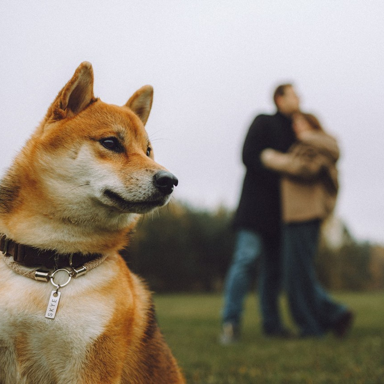 Отзывы о работе фотографа-анималиста или зоофотографа, Москва