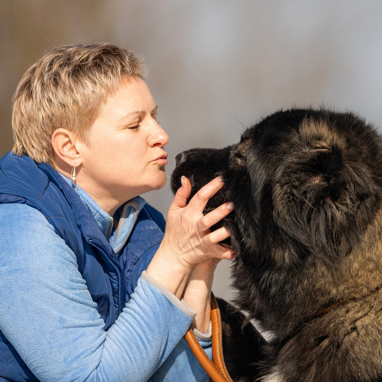 Отзывы о работе фотографа-анималиста или зоофотографа, Москва