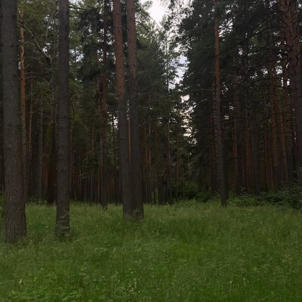 Отзывы. Эксклюзивный фотограф японских сказок в Екатеринбурге