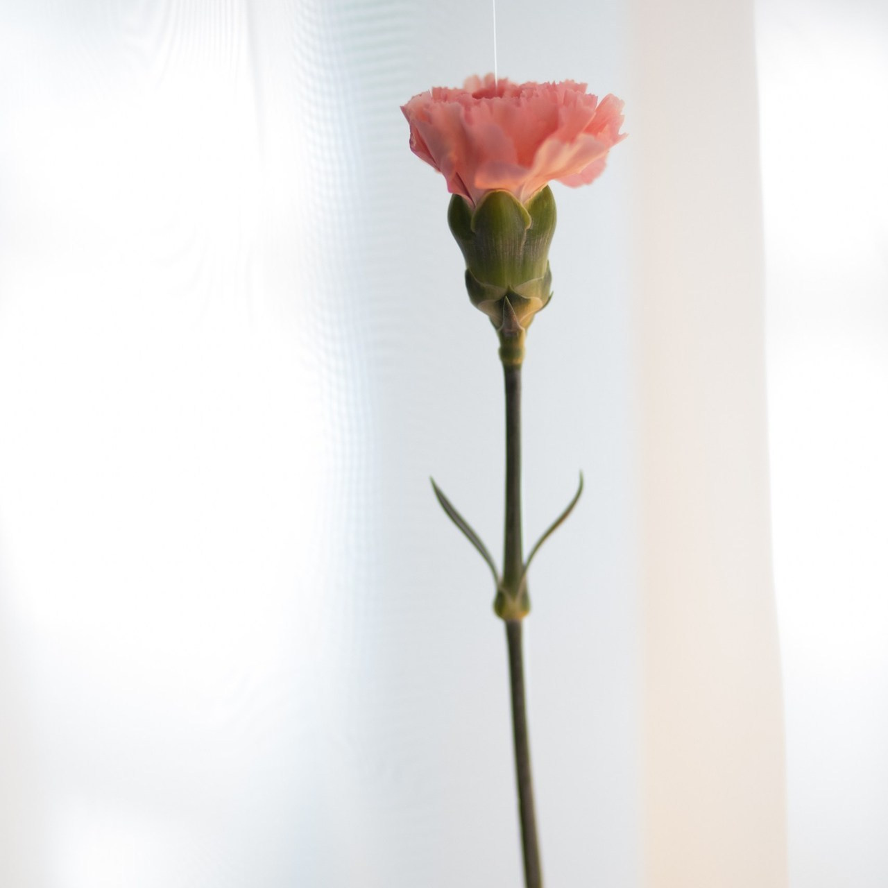 Отзывы. Фотограф Екатеринбург