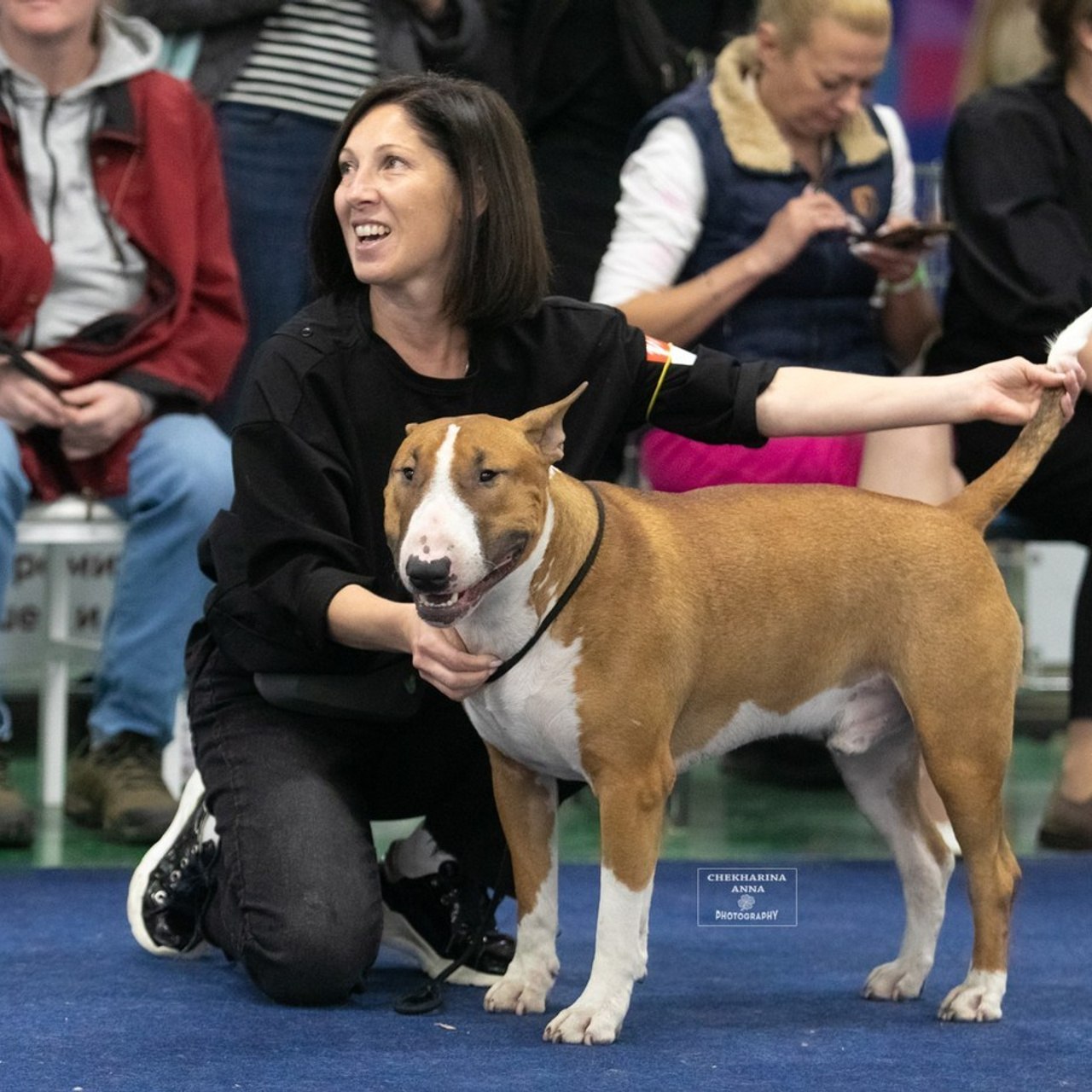 Отзывы. Профессиональный фотограф Чехарина Анна / pro photographer Chekharina