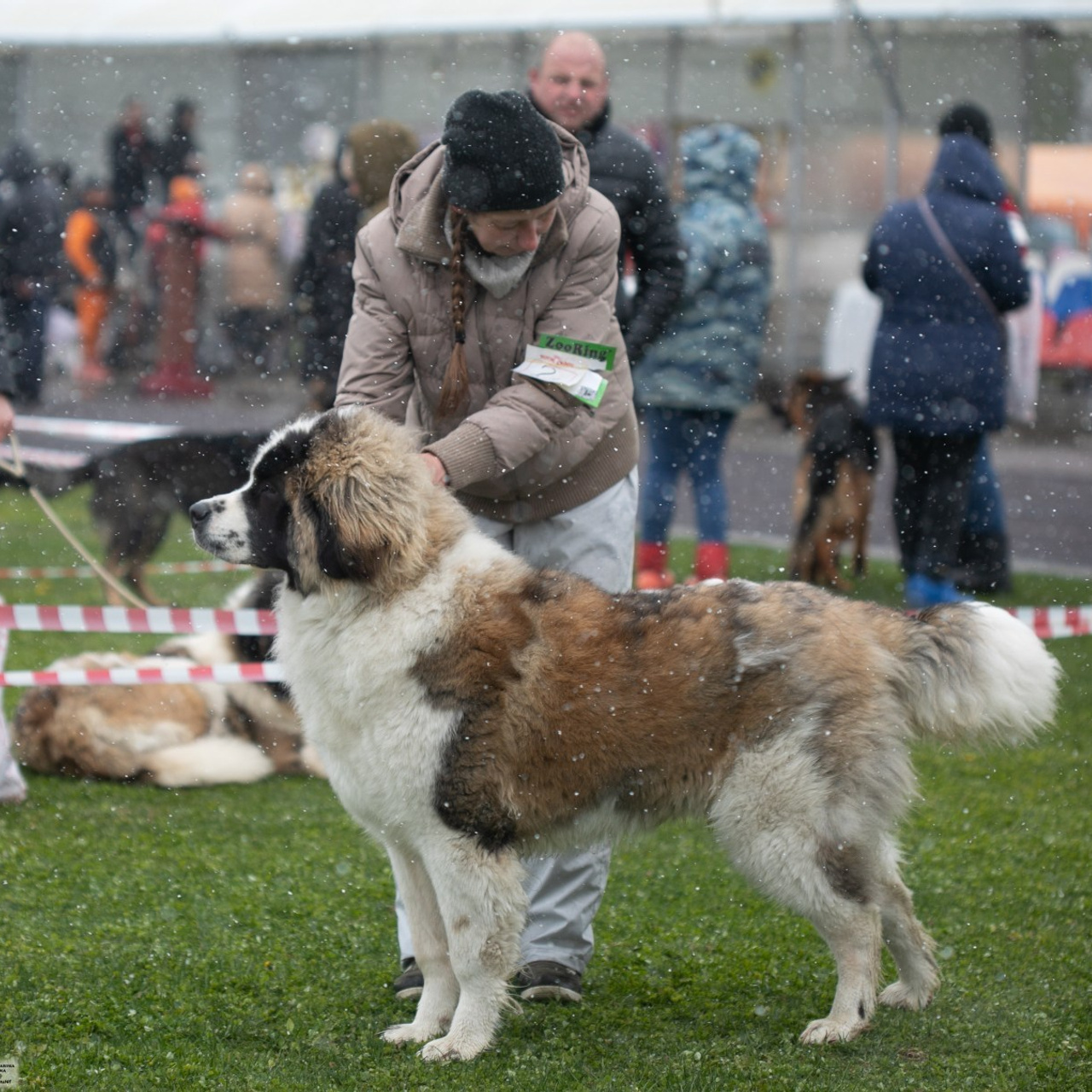 Отзывы. Профессиональный фотограф Чехарина Анна / pro photographer Chekharina