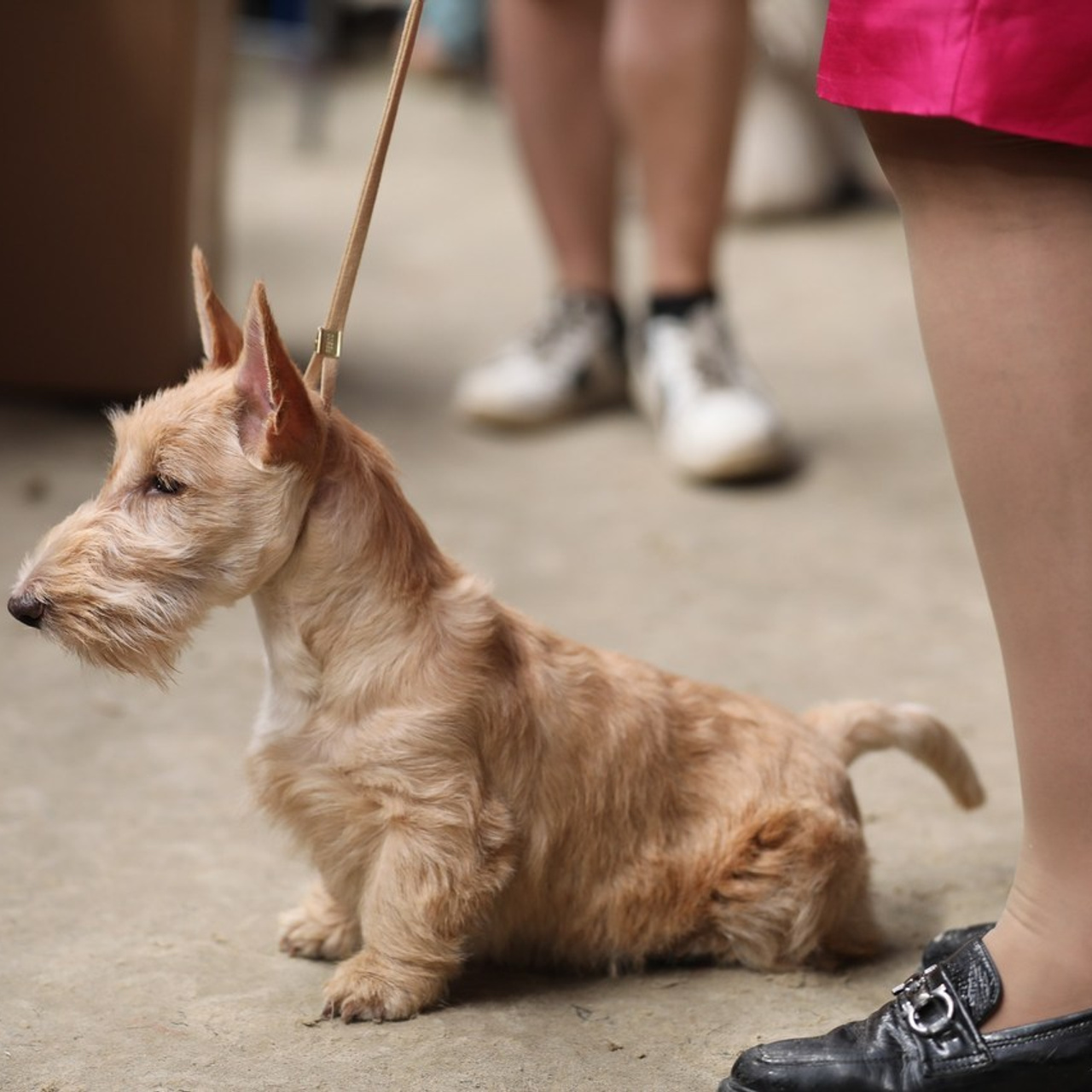 Отзывы. Профессиональный фотограф Чехарина Анна / pro photographer Chekharina