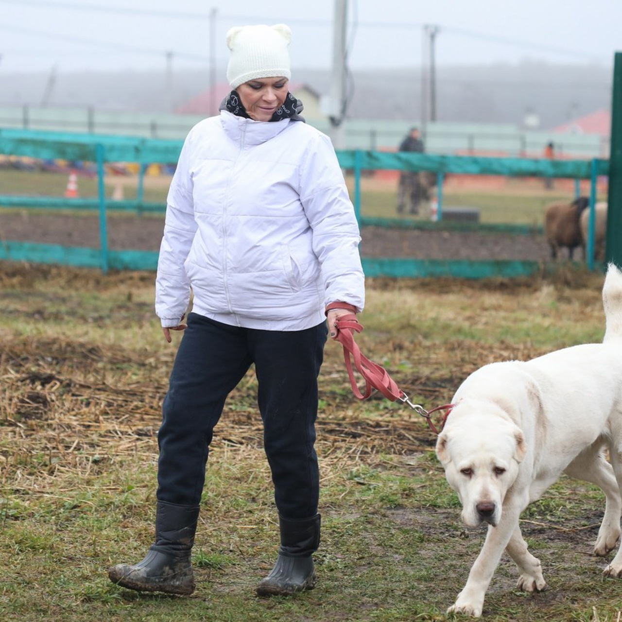 Отзывы. Профессиональный фотограф Чехарина Анна / pro photographer Chekharina