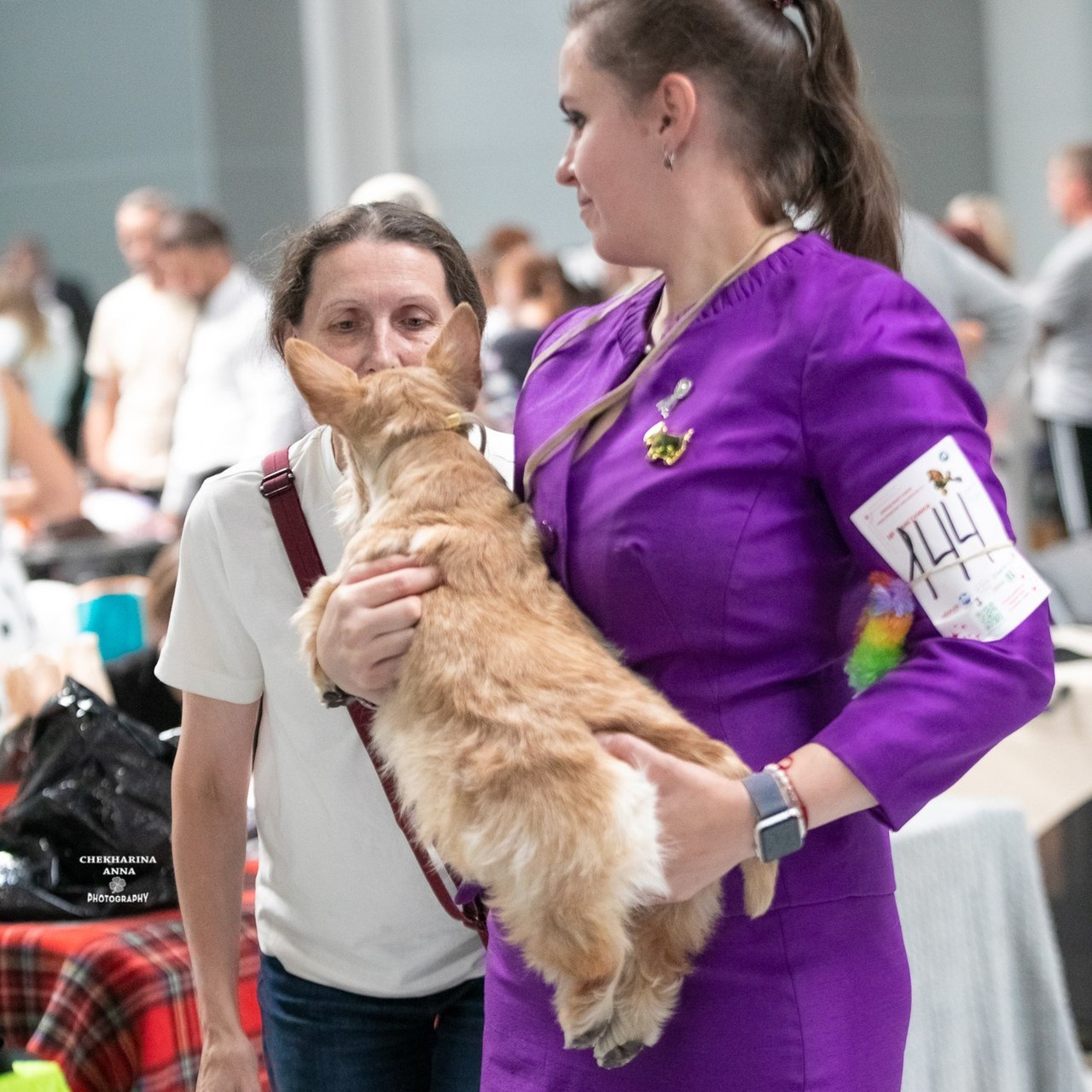 Отзывы. Профессиональный фотограф Чехарина Анна / pro photographer Chekharina