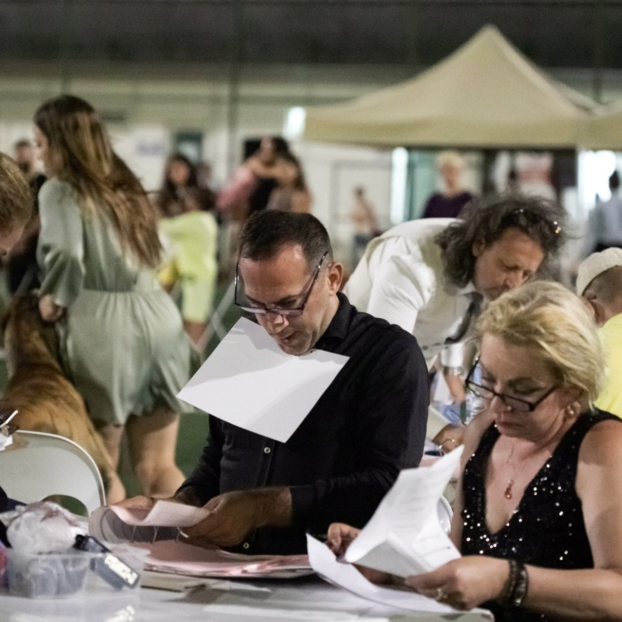 Отзывы. Профессиональный фотограф Чехарина Анна / pro photographer Chekharina