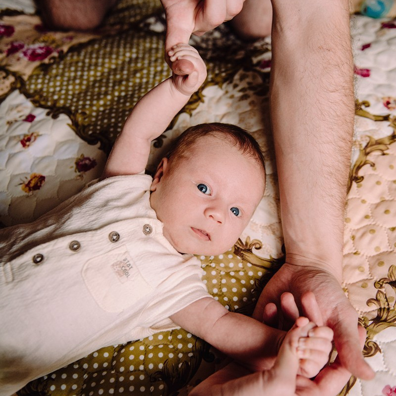 дачный Марк