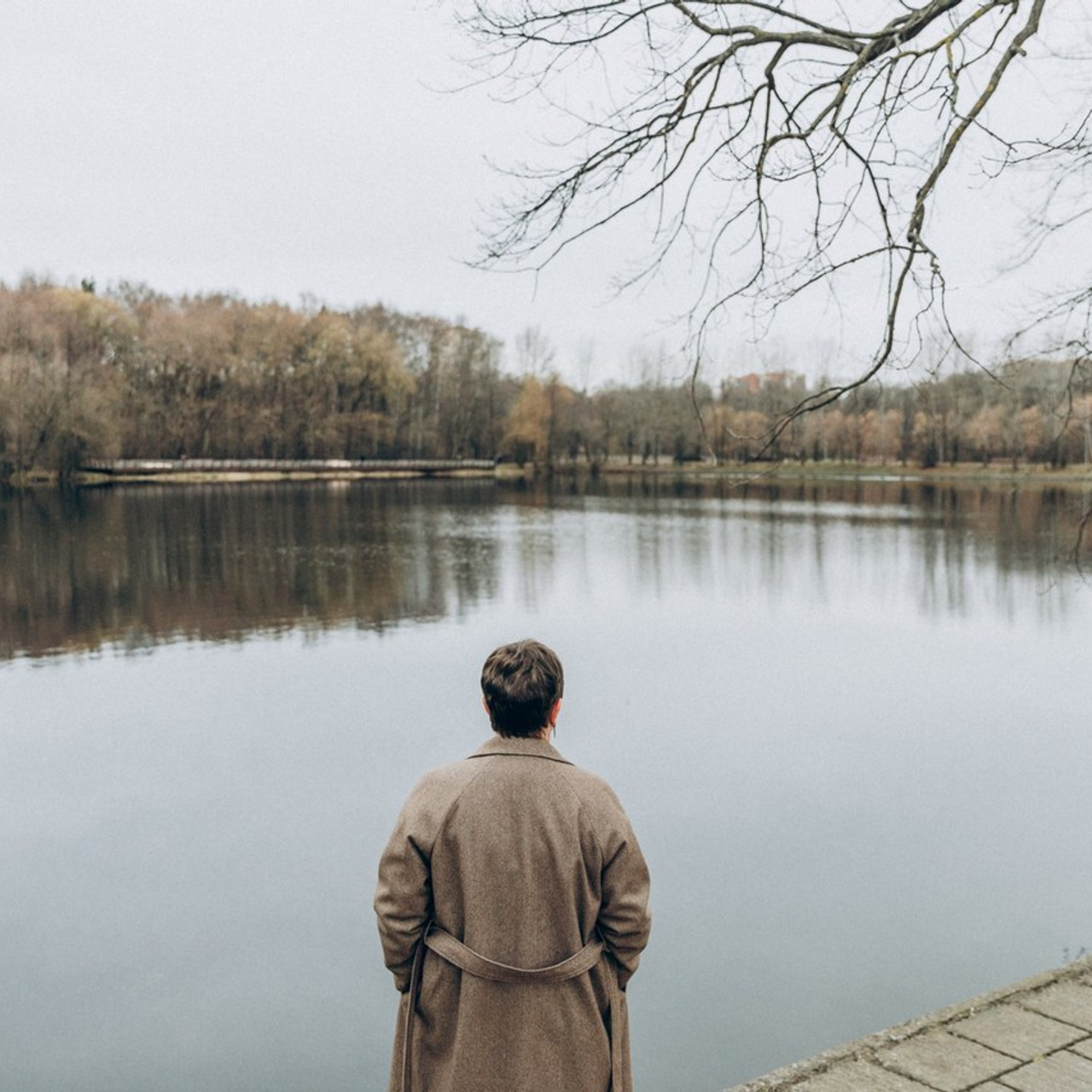 Отзывы. Фотограф-анималист в Москве Соломонова Варвара