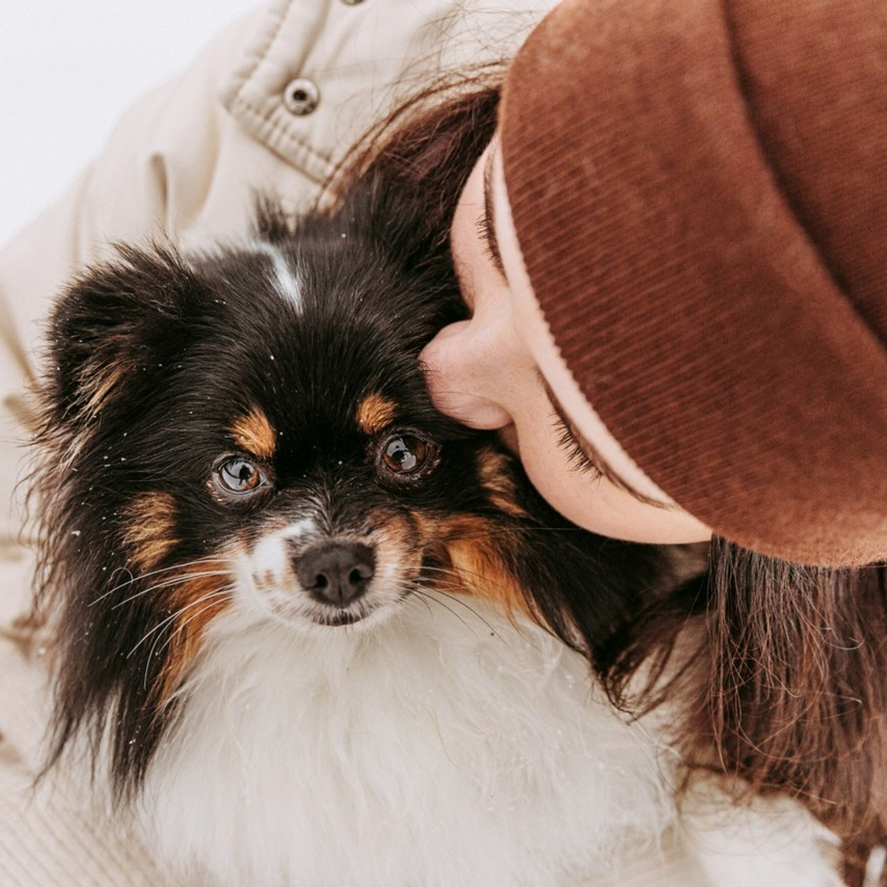 Отзывы. Фотограф-анималист в Москве Соломонова Варвара
