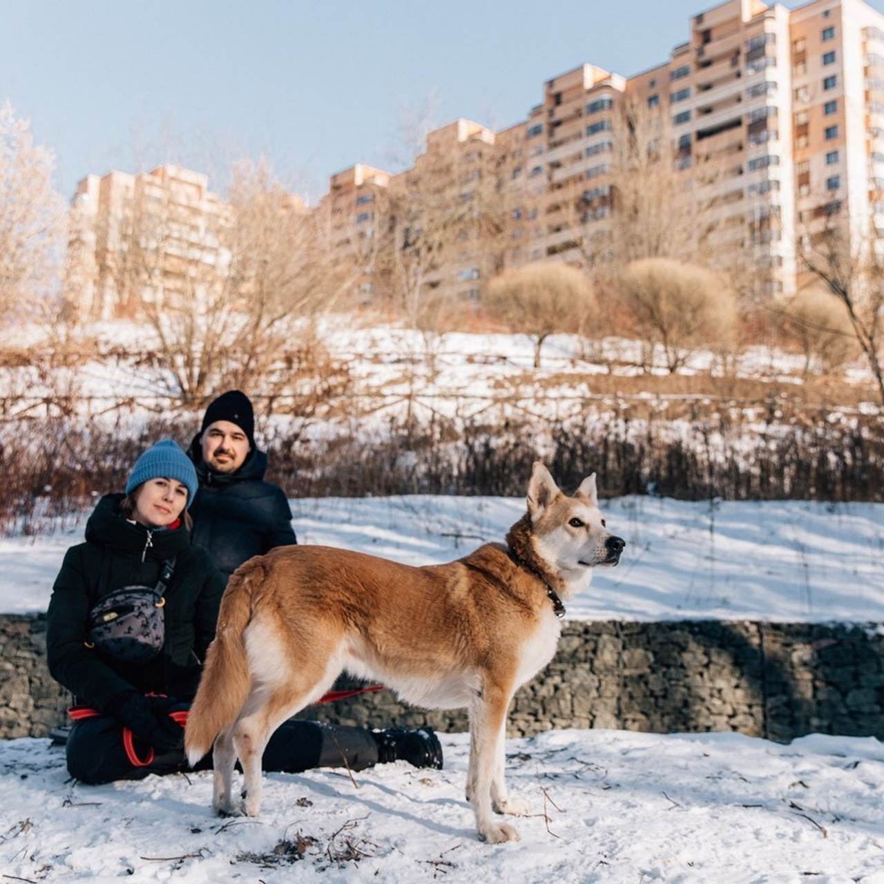Отзывы. Фотограф-анималист в Москве Соломонова Варвара