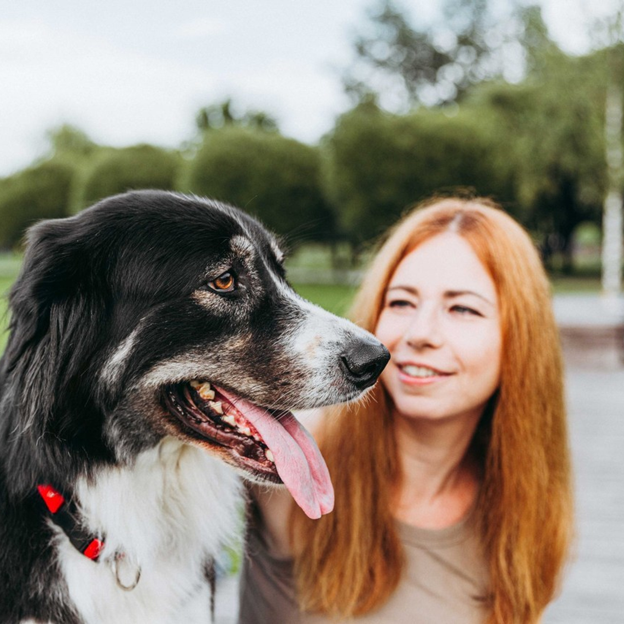Отзывы. Фотограф-анималист в Москве Соломонова Варвара