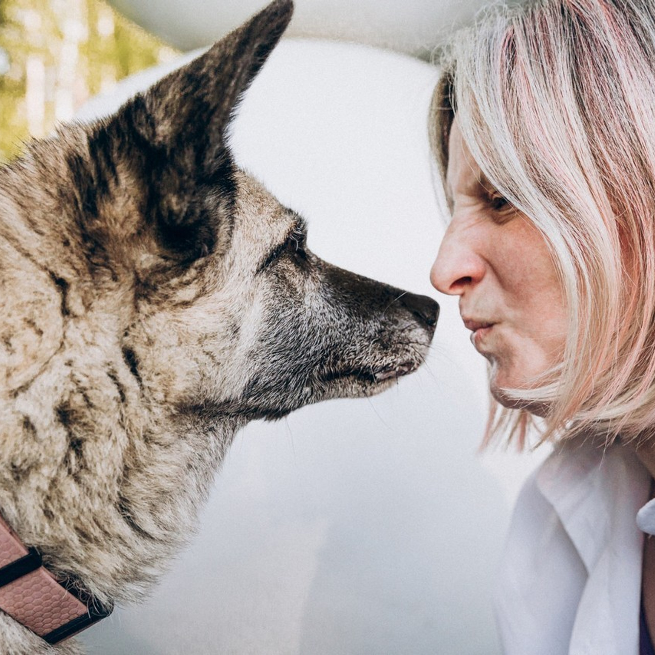 Отзывы. Фотограф-анималист в Москве Соломонова Варвара