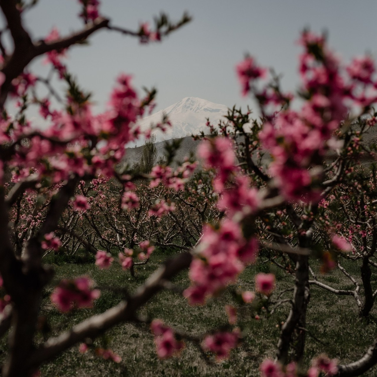 Comments. Wedding and family photographer Nina Pavlovets