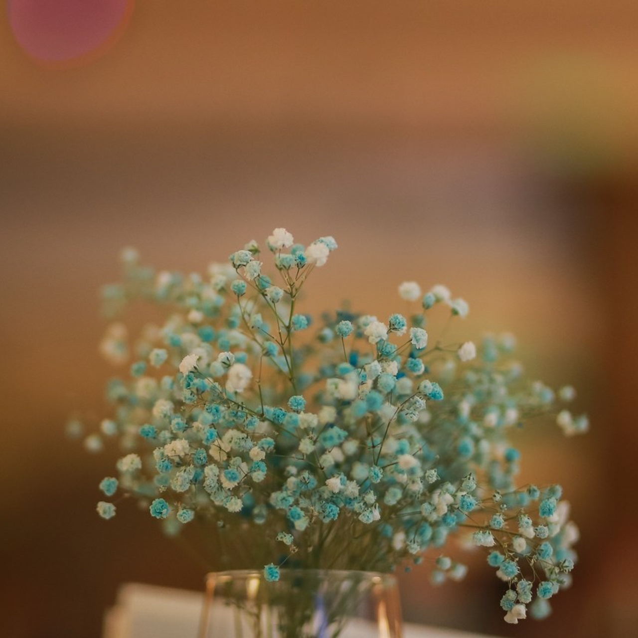 Отзывы. Антонина Морозова, профессиональный семейный фотограф видеограф