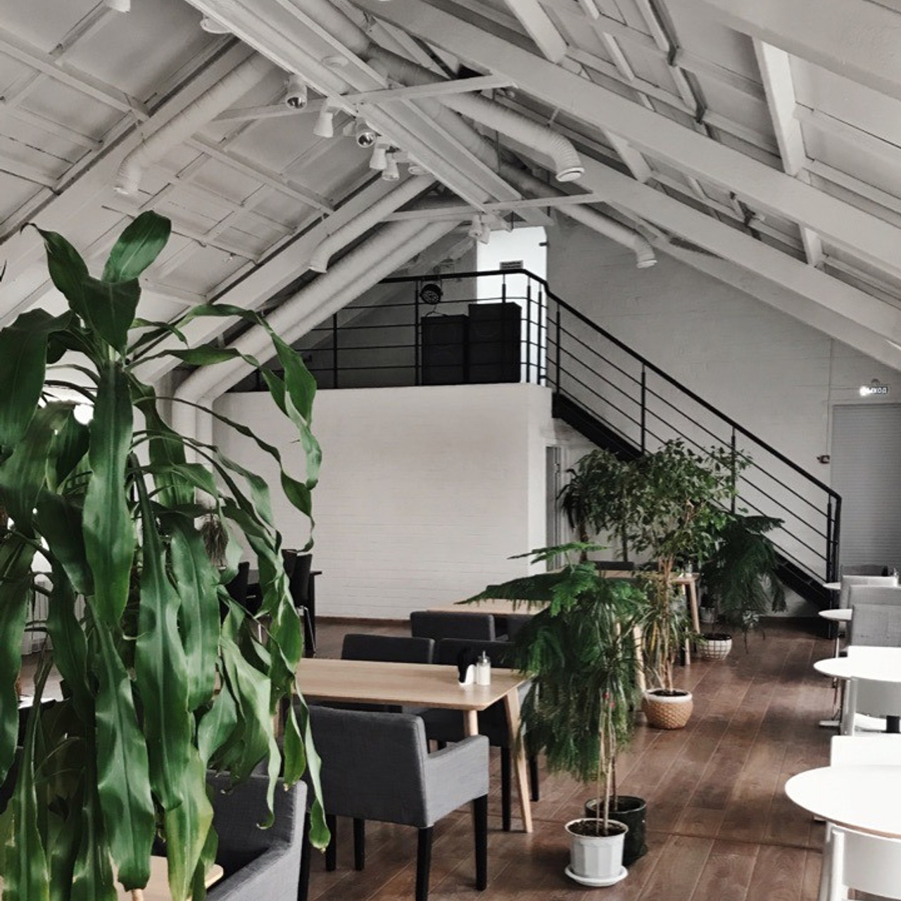 Самые необычные свадебные площадки. Свадебный и портретный фотограф в Нижнем Новгороде и Нижегородской обл