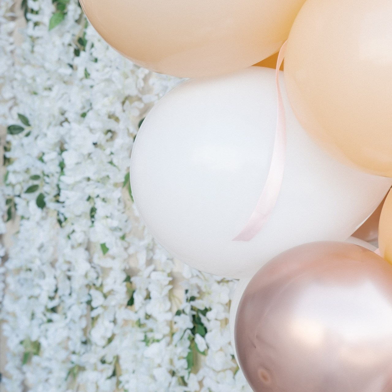 Отзывы. Лена Волкова фотограф в  Петербурге