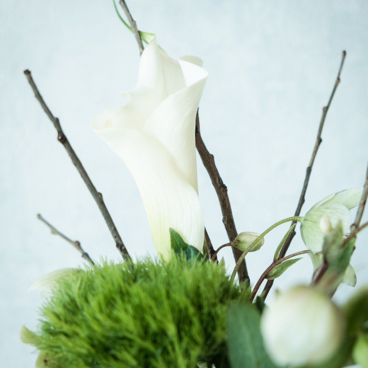 Отзывы. Лена Волкова фотограф в  Петербурге