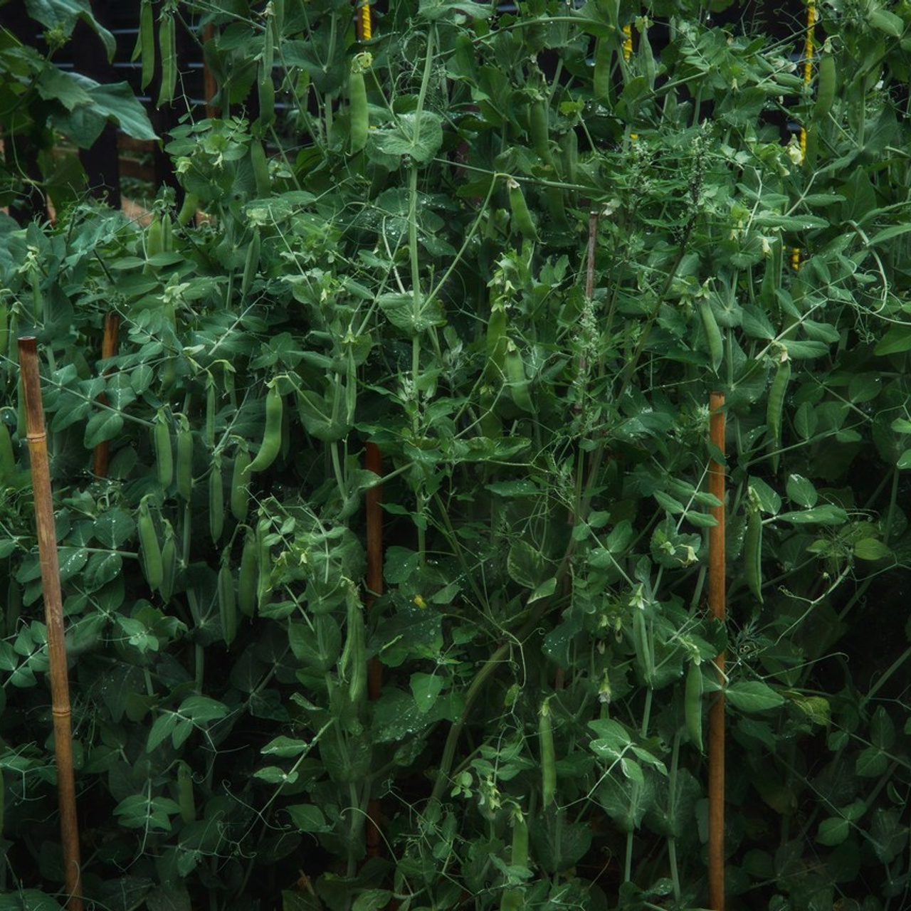 Отзывы. Портретный фотограф из Омска Инна Пономарева