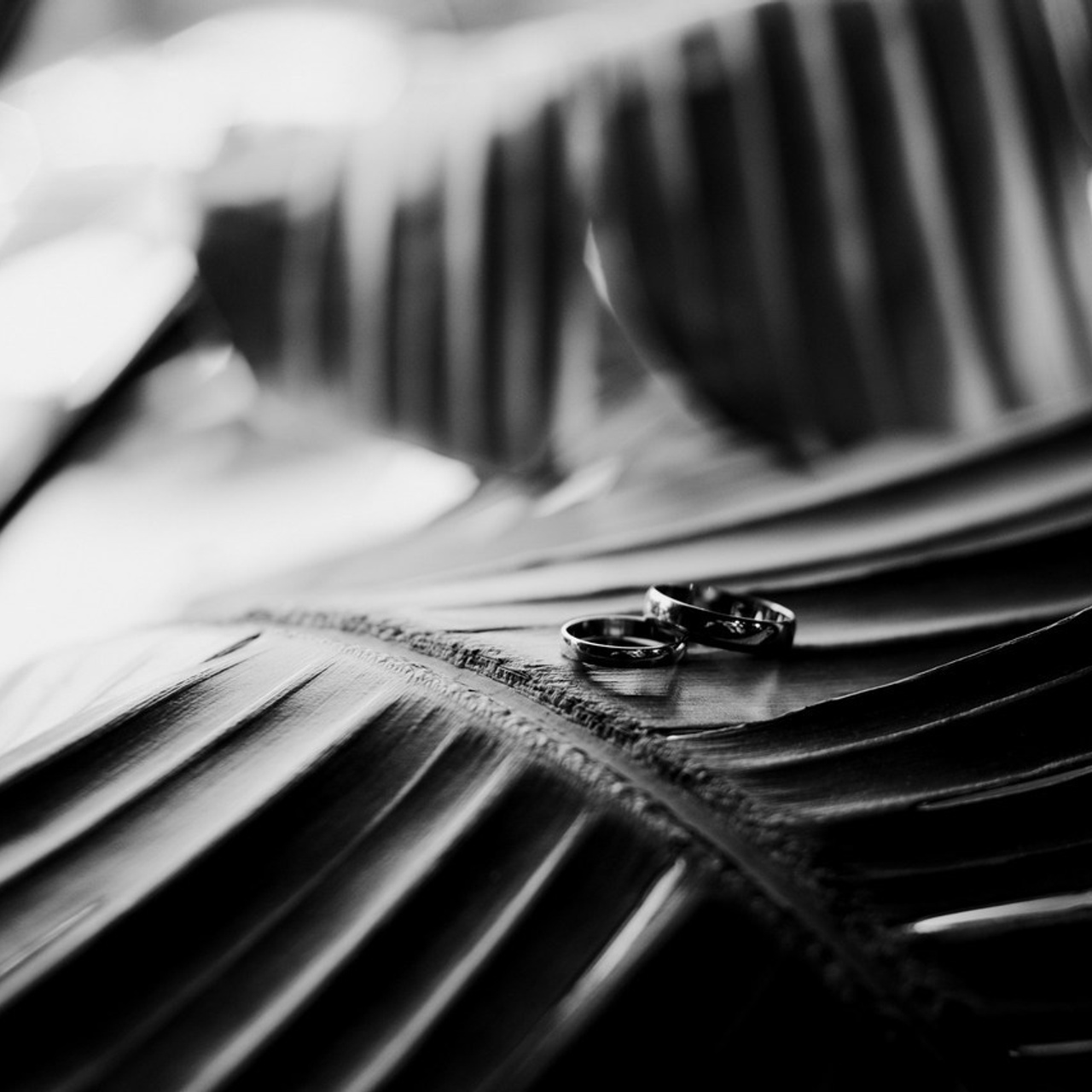 Отзывы. Свадебный и семейный фотограф Ростов-на-Дону Евгения Борисова