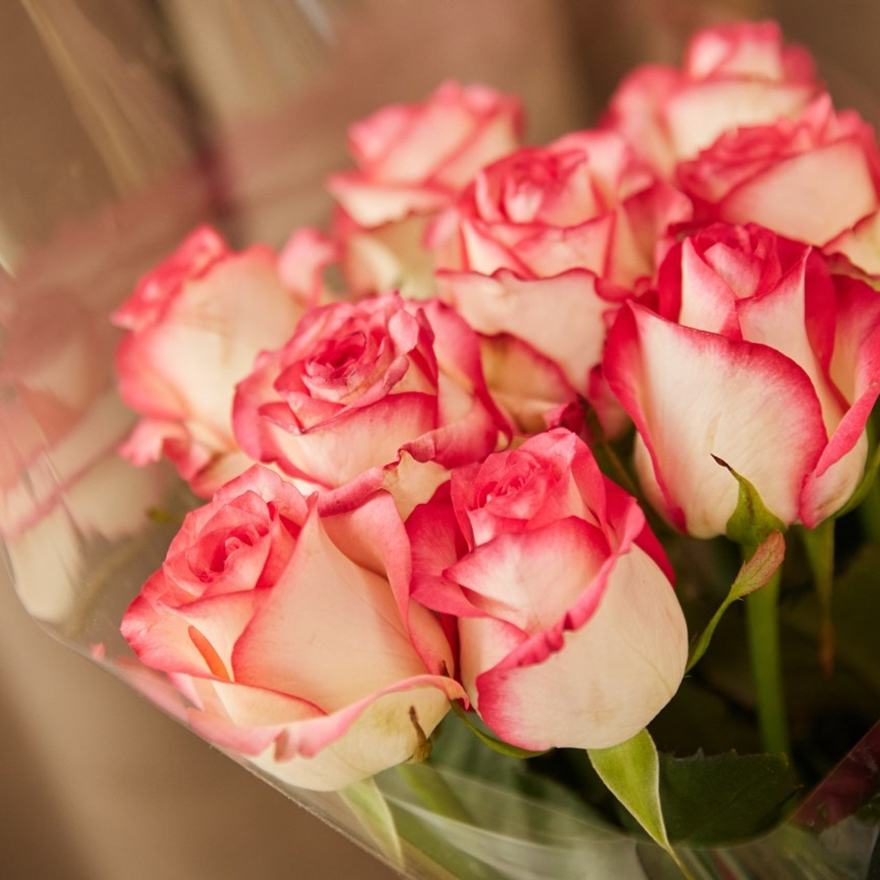 Отзывы. Главная