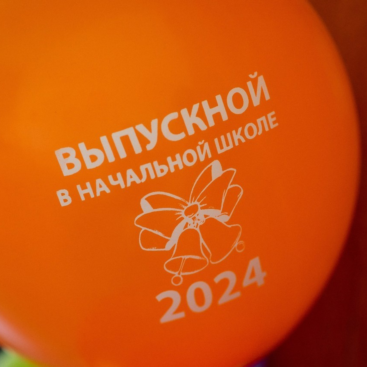 Отзывы. Профессиональный фотограф в Рязани