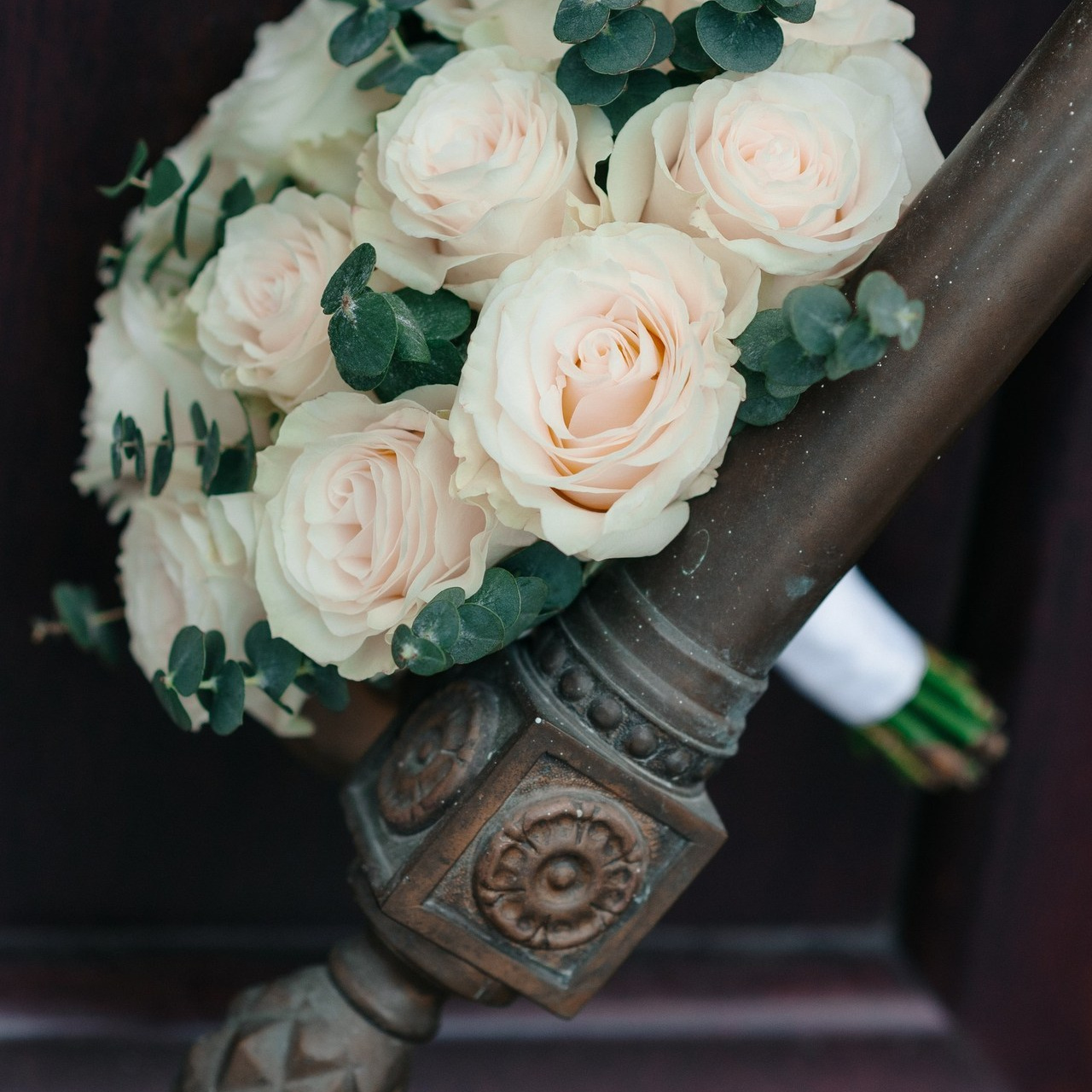 Отзывы. Профессиональный фотограф в Рязани