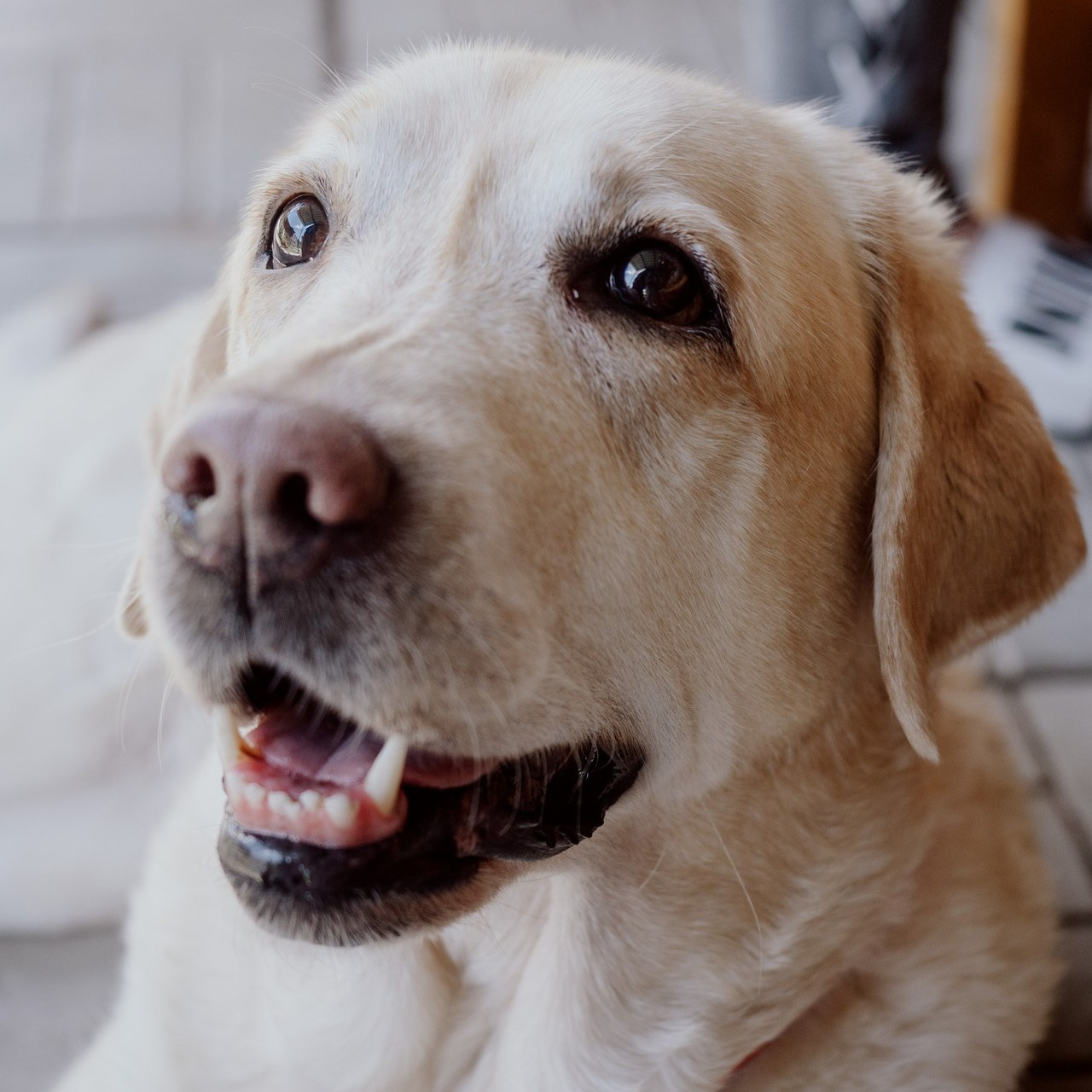 Отзывы на мои фотосессии. Маруся Машкова • Фотограф в Москве
