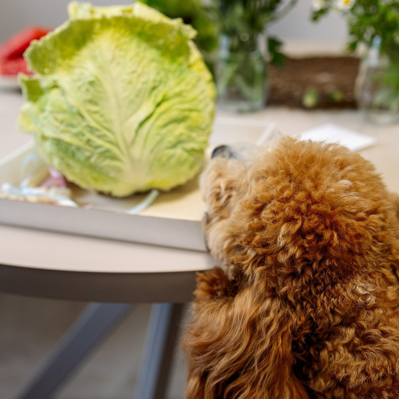 Отзывы Фотограф Москва. Семейный Фотограф в Москве Евгения Симоненко