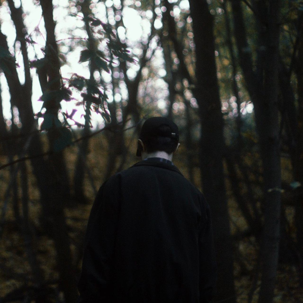 Feedback. НЕМОЁ КИНО