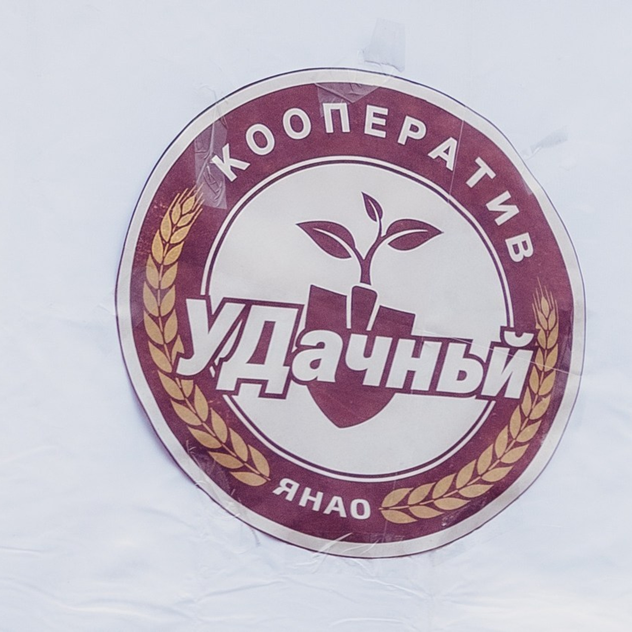 Отзывы. Детский и семейный фотограф Анна Орманжи, Салехард