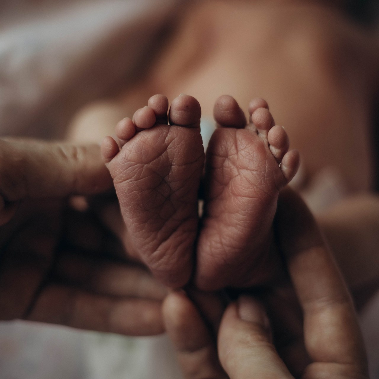 Отзывы. Семейный и детский фотограф в Ростове-на-Дону Удалова Лина