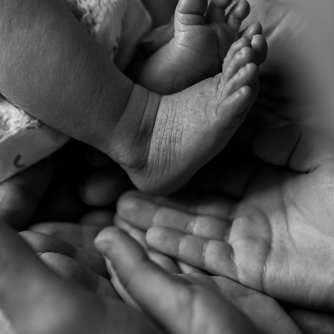 Отзывы. Семейный и детский фотограф в Ростове-на-Дону Удалова Лина