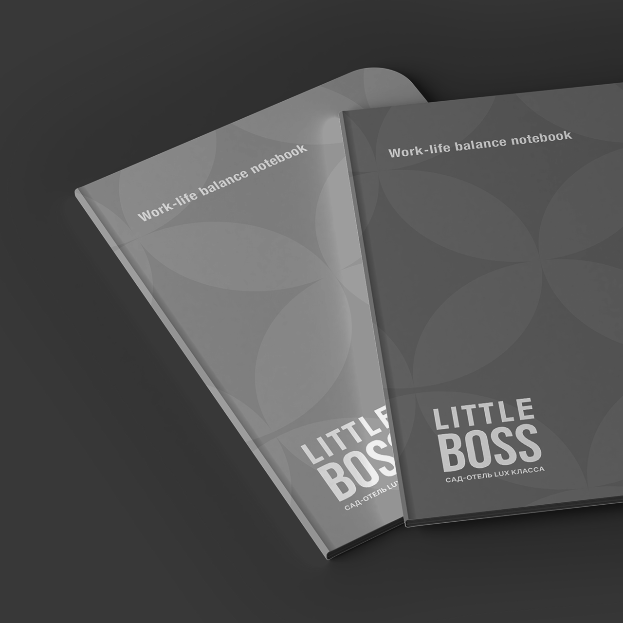 Детский сад-отель lux класса