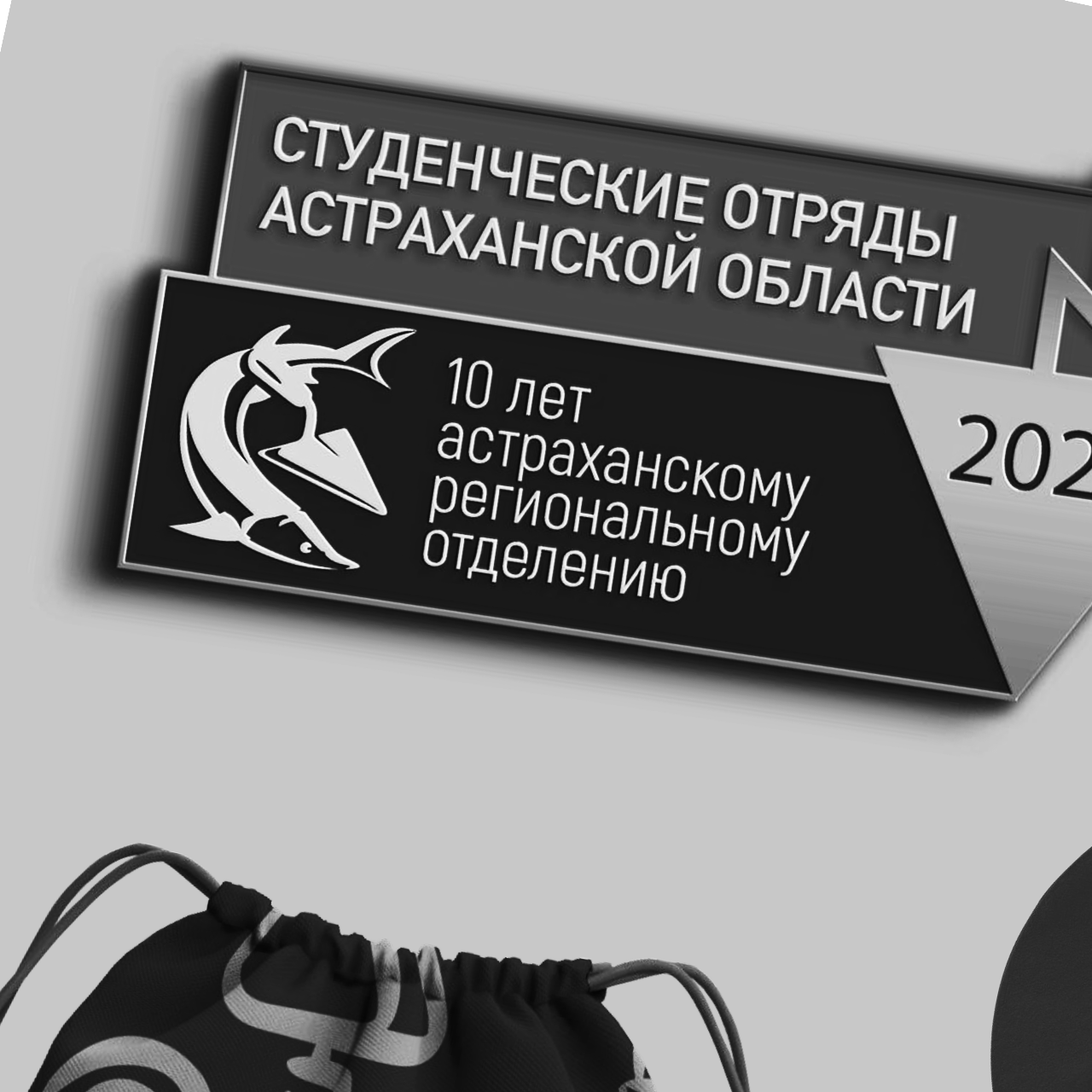 Молодежная организация (НКО)