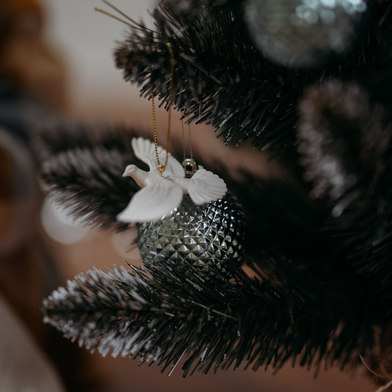 Отзывы. Искренний фотограф