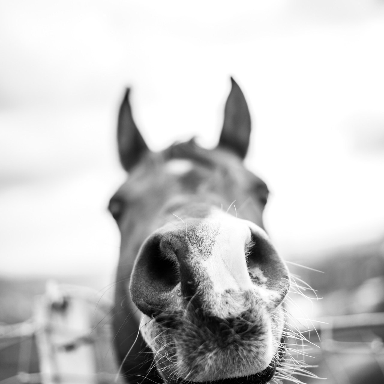Отзывы. Искренний фотограф