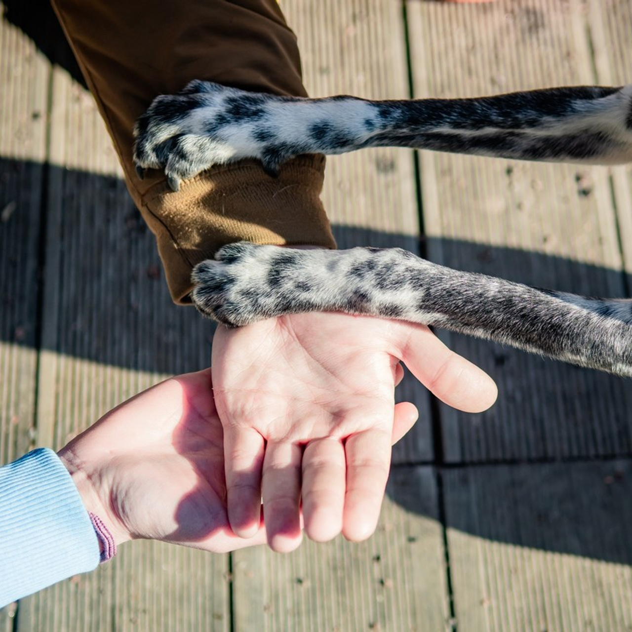 Отзывы. ОЛЕСЯ ШАФЕРОВА / ВАШ ФОТОГРАФ в Санкт-Петербурге