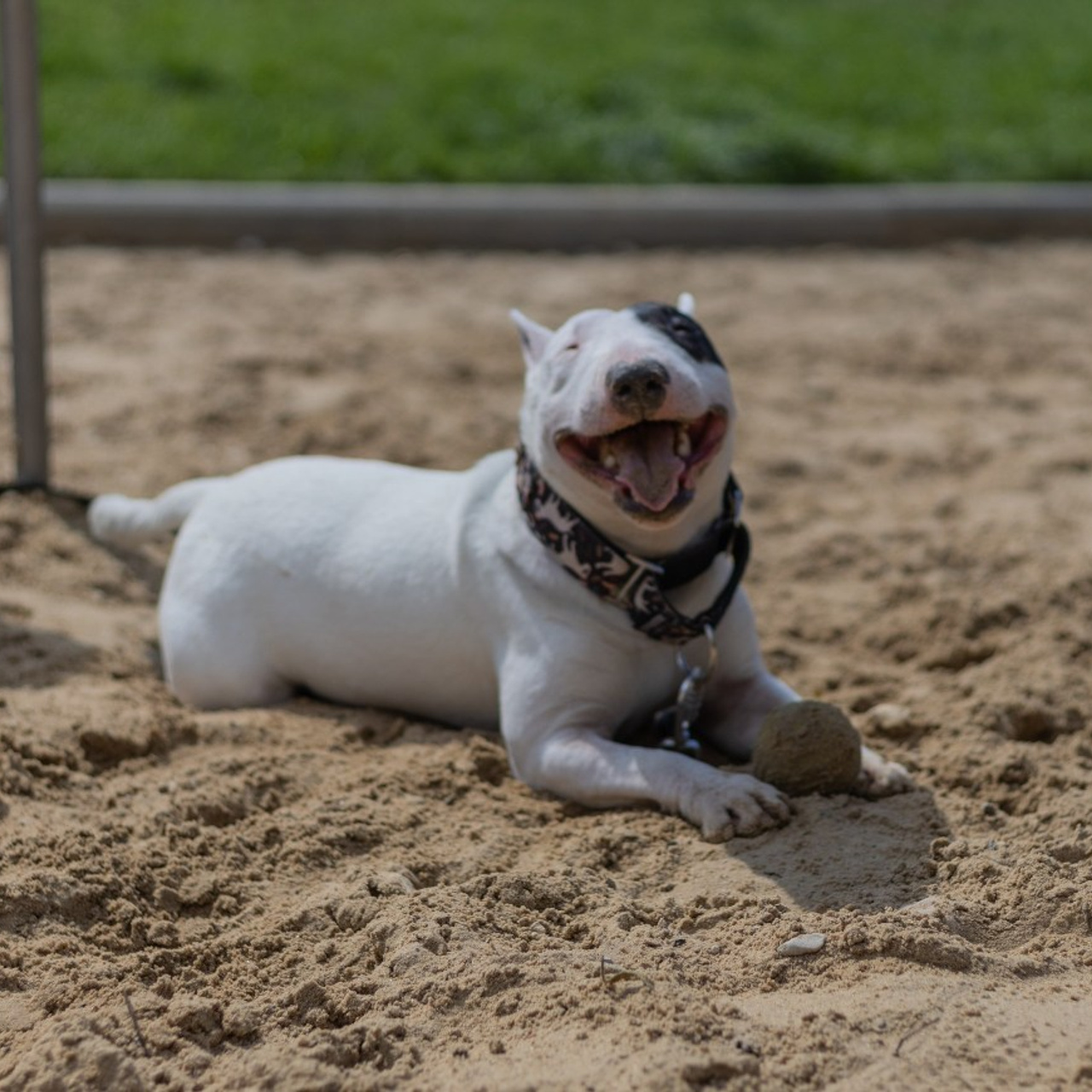 Отзывы. Фотограф Карина Соболева