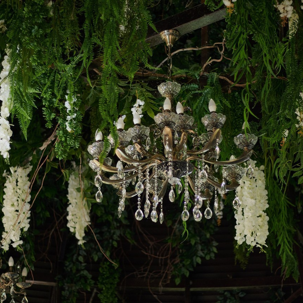 Отзывы. Фотограф в Ростове-на-Дону Нюхарева Виктория