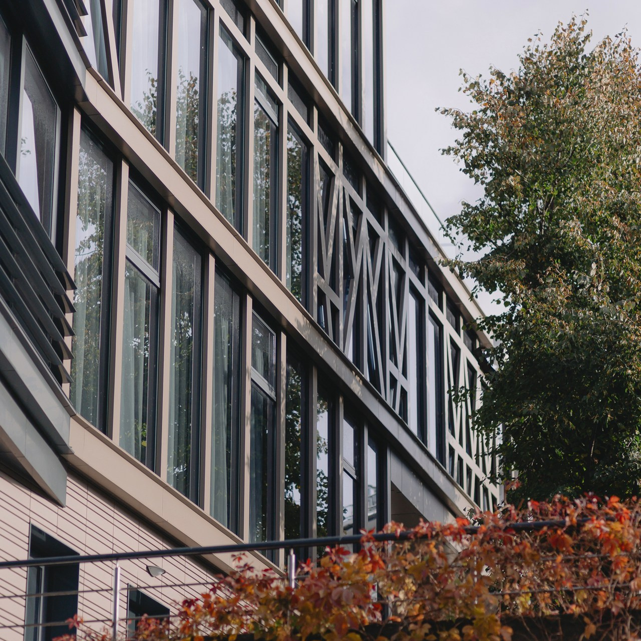 Отзывы. ФОТОГРАФ КАЛИНИНГРАД РУПЕЦ ИГОРЬ