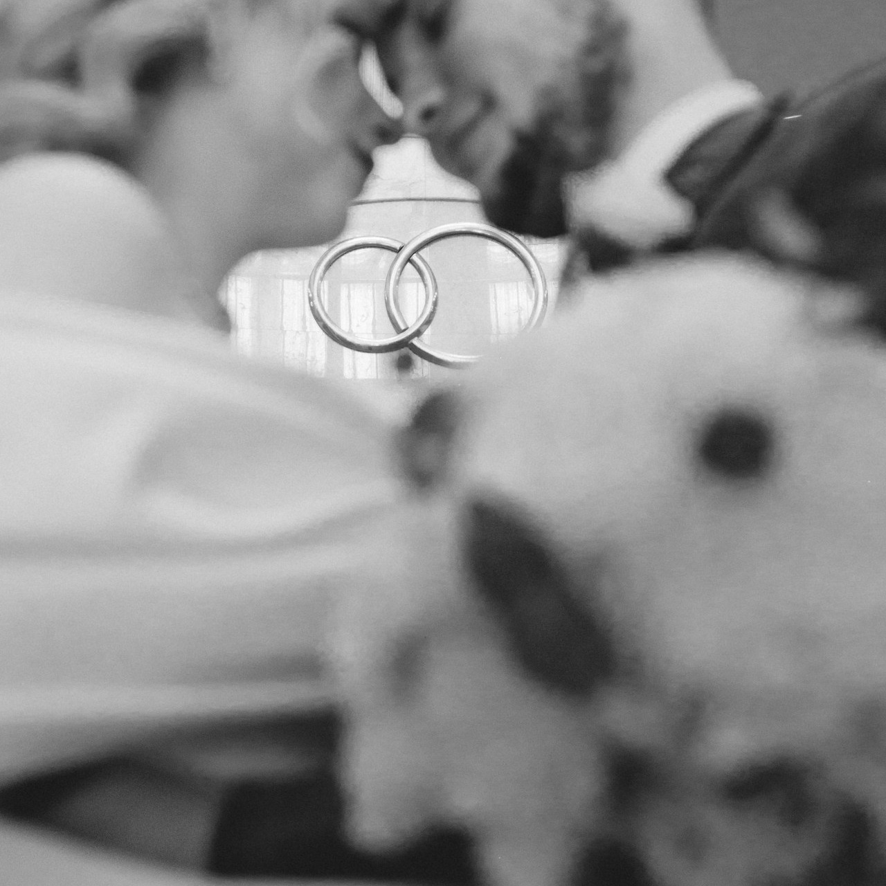 Отзывы. ФОТОГРАФ ~ Виктория Ивченко ~ Старый Оскол