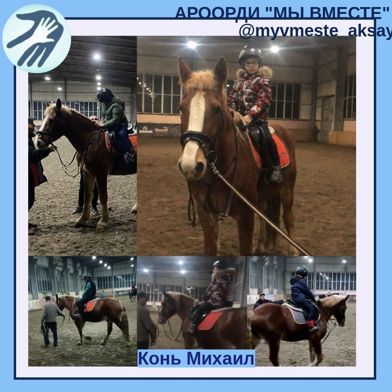 Возвращение к здоровью: Иппотерапия и адаптивная верховая езда