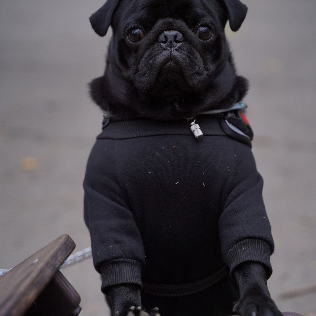 Отзывы. Арт-фотограф Евгений Матвиенко