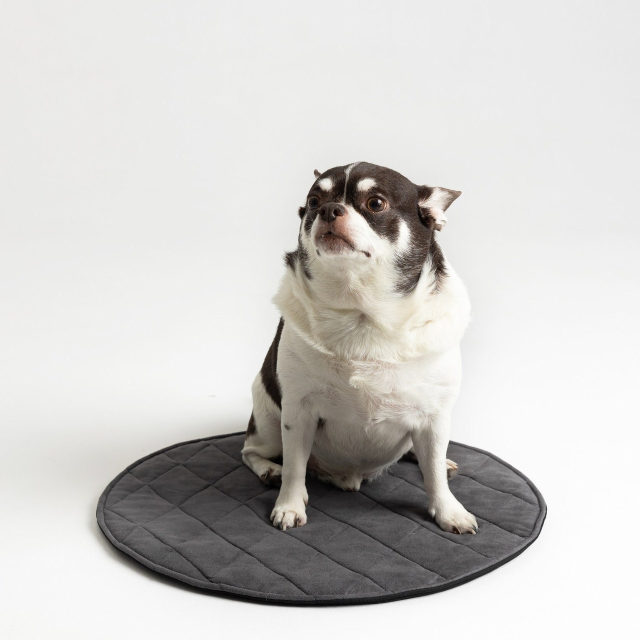 Отзывы. Фотограф брендов в Санкт-Петербурге Полина Суворова